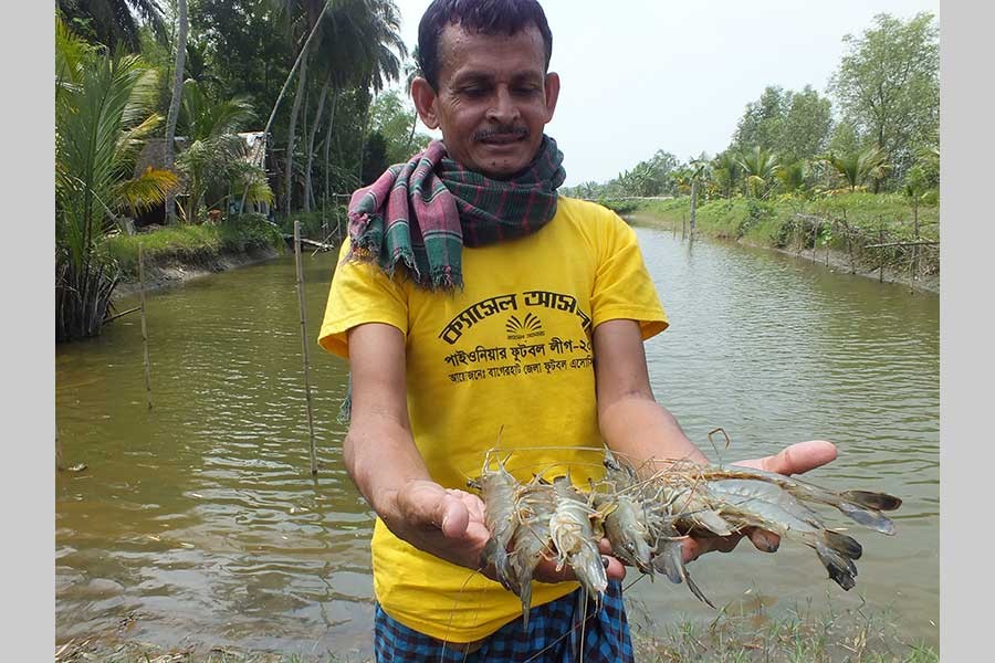 Spectre of salinity in coastal belt   