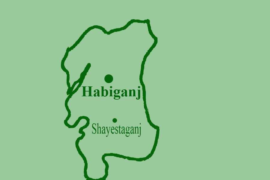 Shayestaganj becomes new upazila