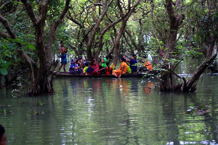 Ratargul freshwater swamp forest.	— FE Photo