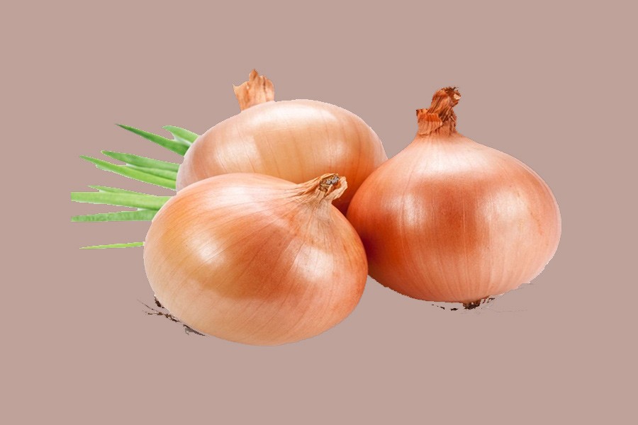 New harvest likely to bring down onion prices