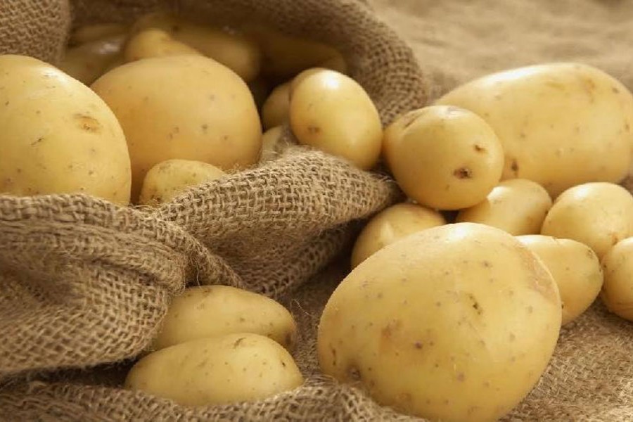 Disease-resistant potato to save farmers Tk 1.0b