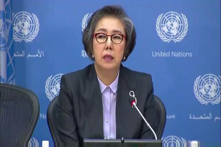 UN Special Rapporteur Yanghee Lee, photo collected.