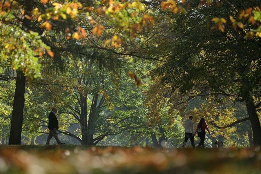 People walk through Tiergarten park on a sunny autumn day in Berlin, Germany October 15, 2017. - Reuters file photo