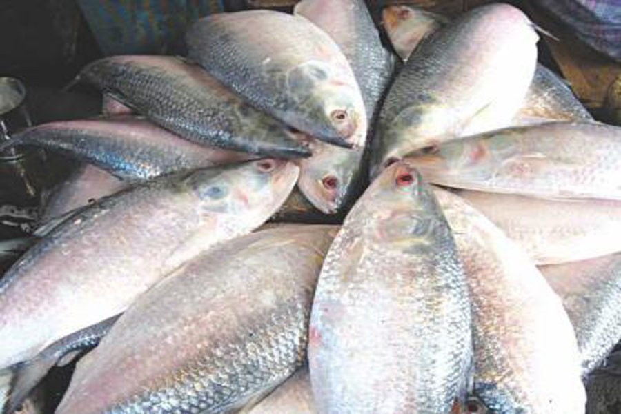 BFDC opens country’s first specialised fish market