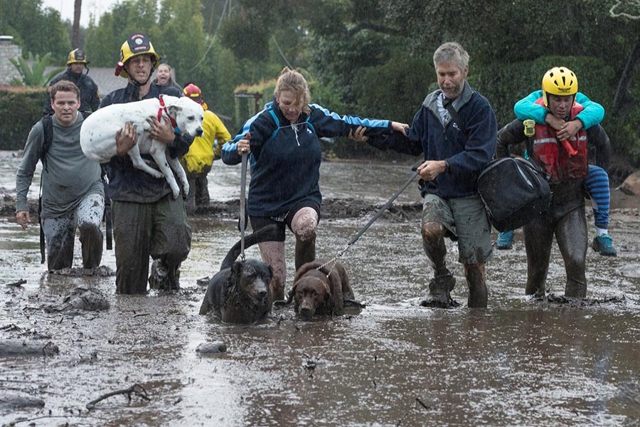 Emergency personnel evacuate local residents and their dogs through flooded waters after a mudslide in Montecito, California, US on Tuesday. - Reuters photo