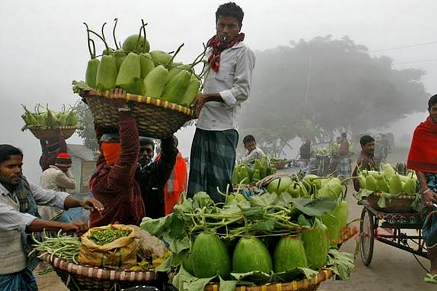 ‘Low’ vegetable output yet to meet consumer requirements