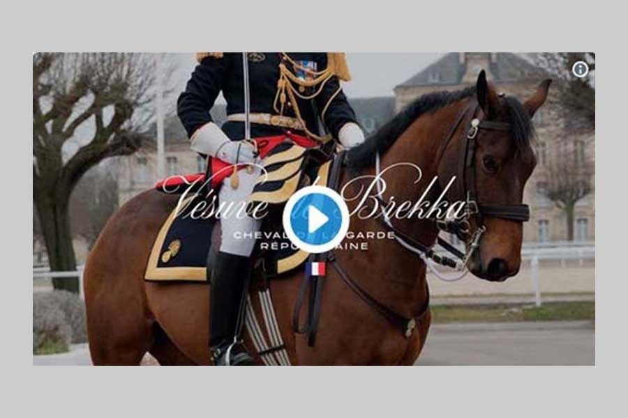 MACRON'S HORSE DIPLOMACY: He tweets, "Symbol of our friendship, here is Vesuvius Brekka who opens a long-term cooperation with our Republican Guard."