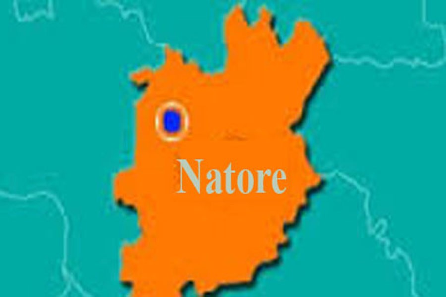 Vegetable cultivation gains popularity in Natore