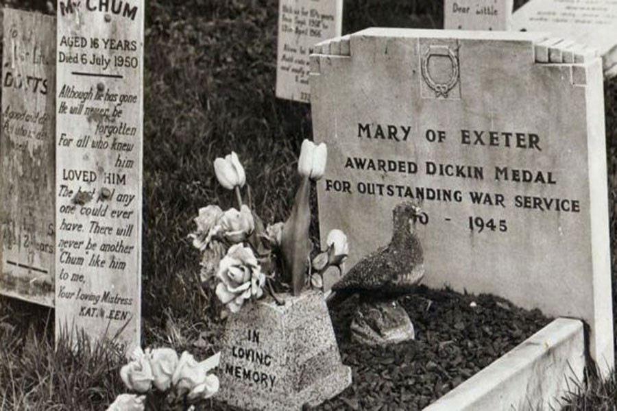 Mary is buried at the Ilford pet cemetery in London, along with 12 other Dickin medal recipients (Courtesy: PDSA)