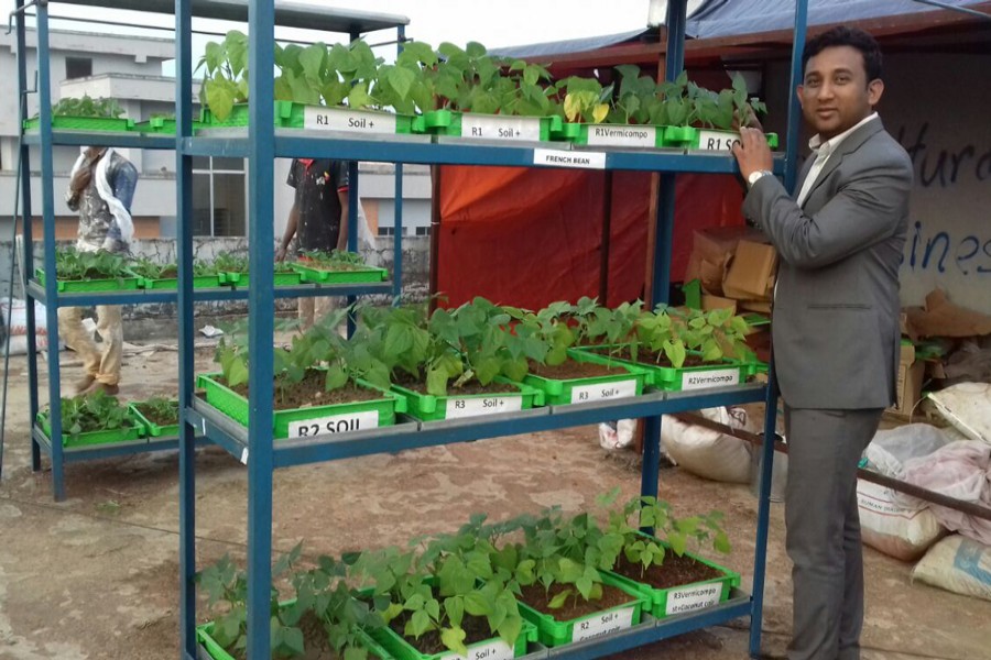 Dr Fuad Mandal of Sylhet Agricultural University shows some demonstration trays of lettuce at a rooftop garden of the university building. The photo was taken on Sunday. 	— FE Photo