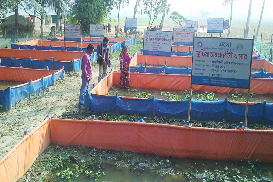 A demonstration project of eel farming in Butpara village under Khetlal upazila of Joypurhat.	— FE Photo