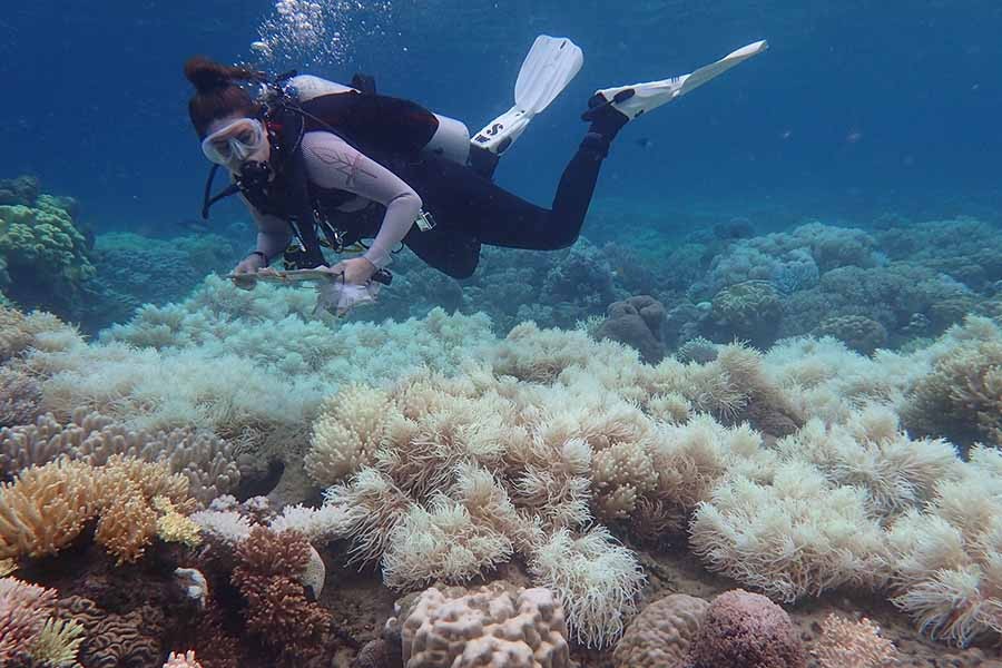 Australia’s $40b tourism industry under threat of climate change
