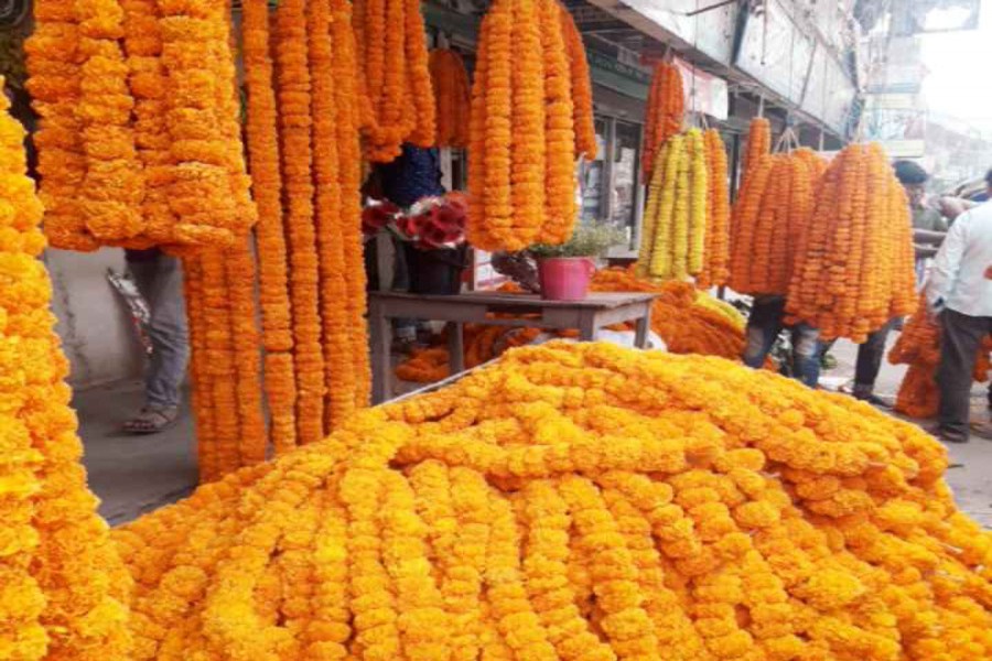 Flower business expands in Tangail district