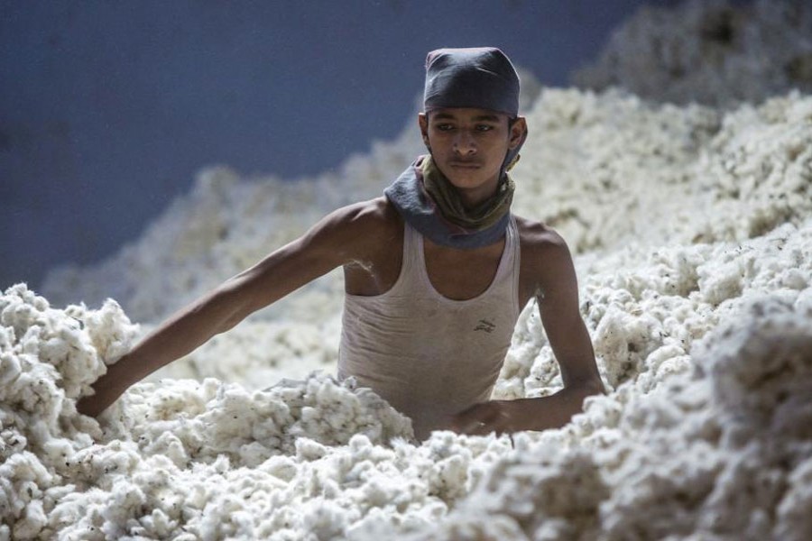 Cotton import taking a heavy toll