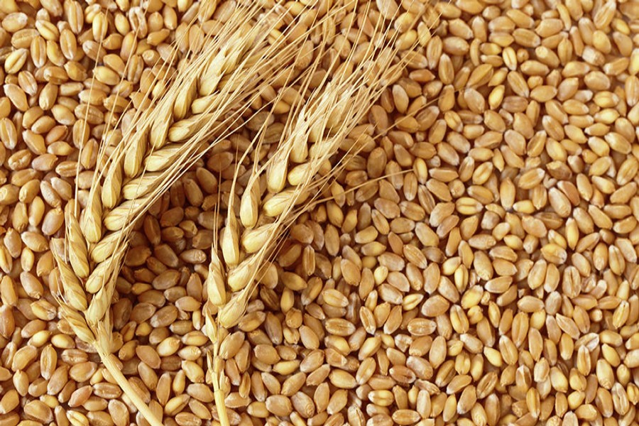 Wheat, soybean futures rally