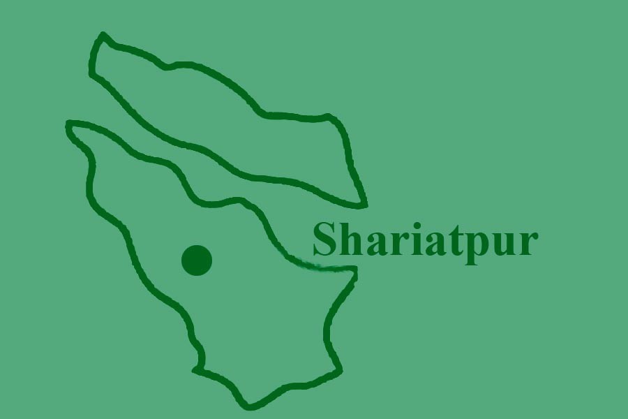 Two minor siblings die in Shariatpur fire