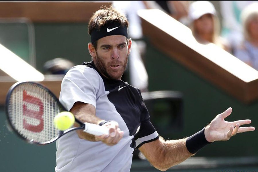 Del Potro wins Indian Wells title