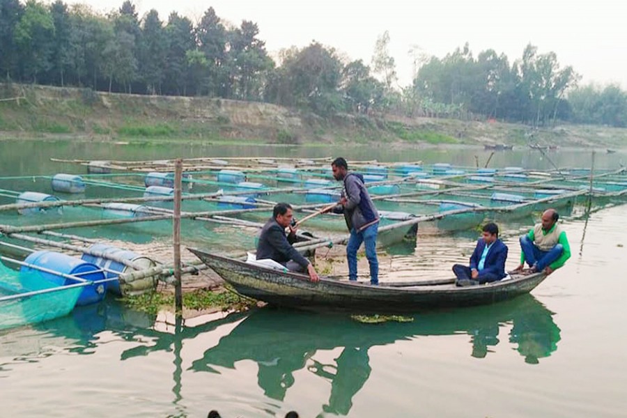 Cultivators feeding fishes in floating enclosures in the Boral river of Pabna on Tuesday 	— FE Photo