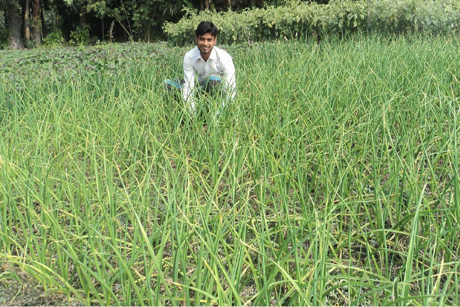 A farmer sitting in a pensive mood in his field in Dakaher village under Dupchanchia upazila of Bogra on Wednesday    	— FE Photo
