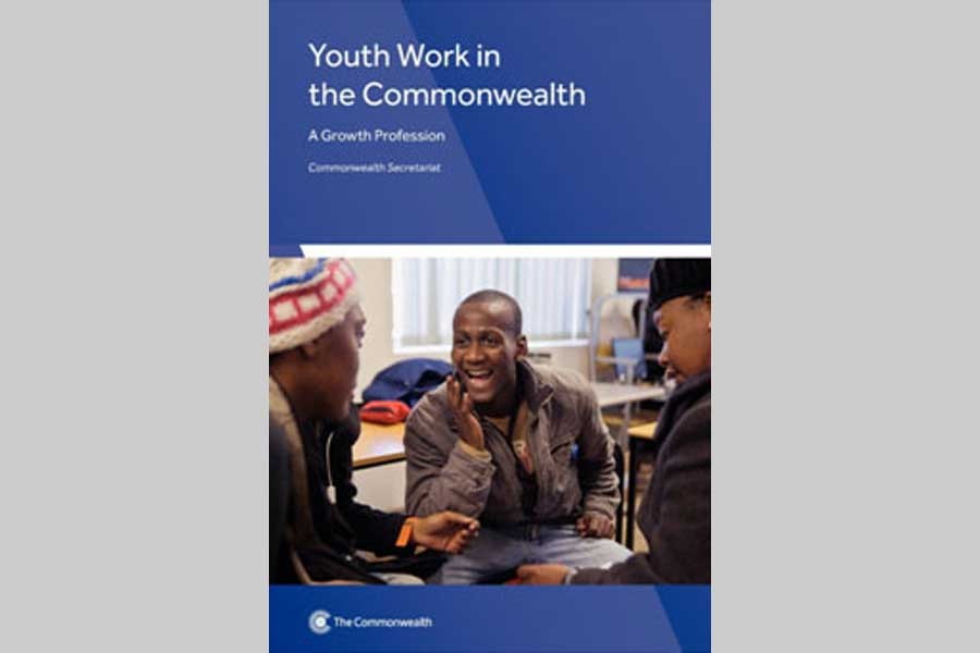 Professionalisation of youth work
