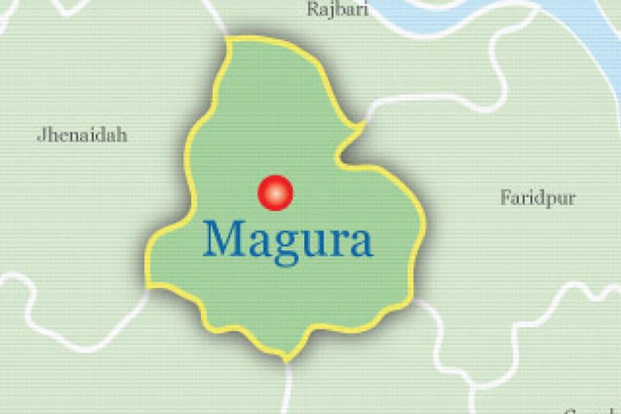 Cyclist dies in Magura hit-and-run crash