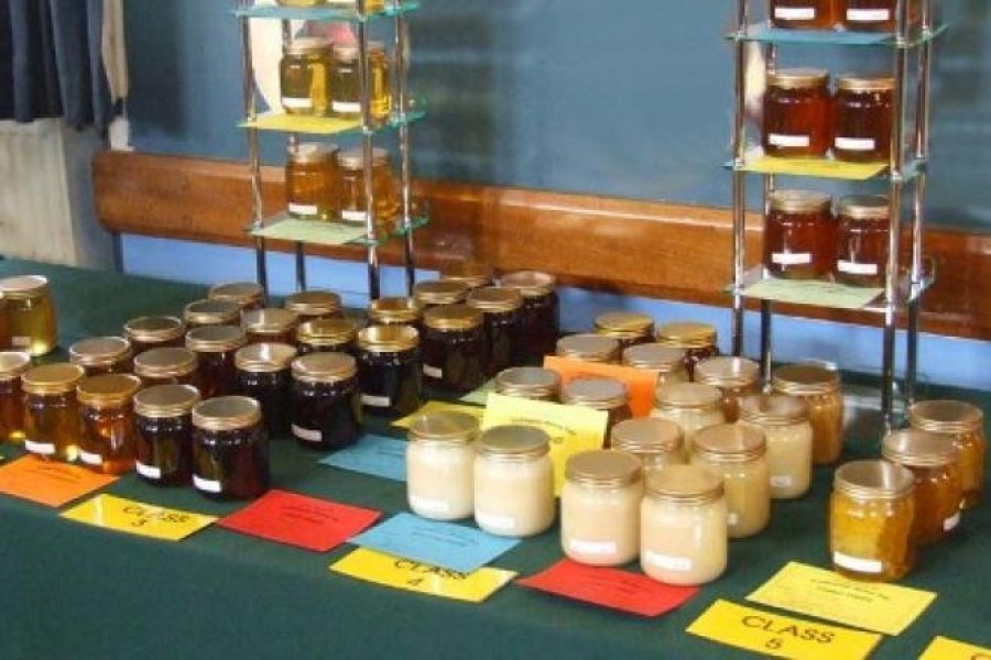 Honey fair starts in city