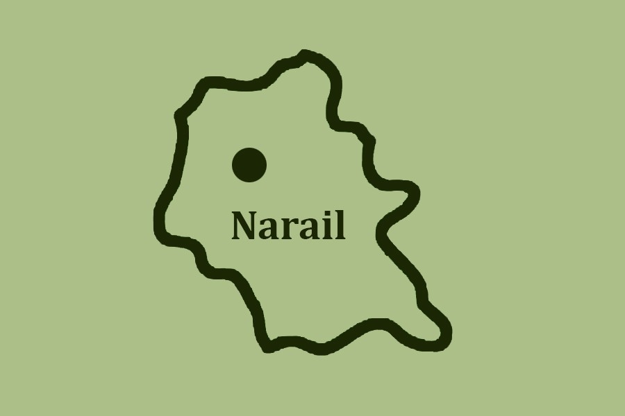 Narail farmer dies in lightning strike