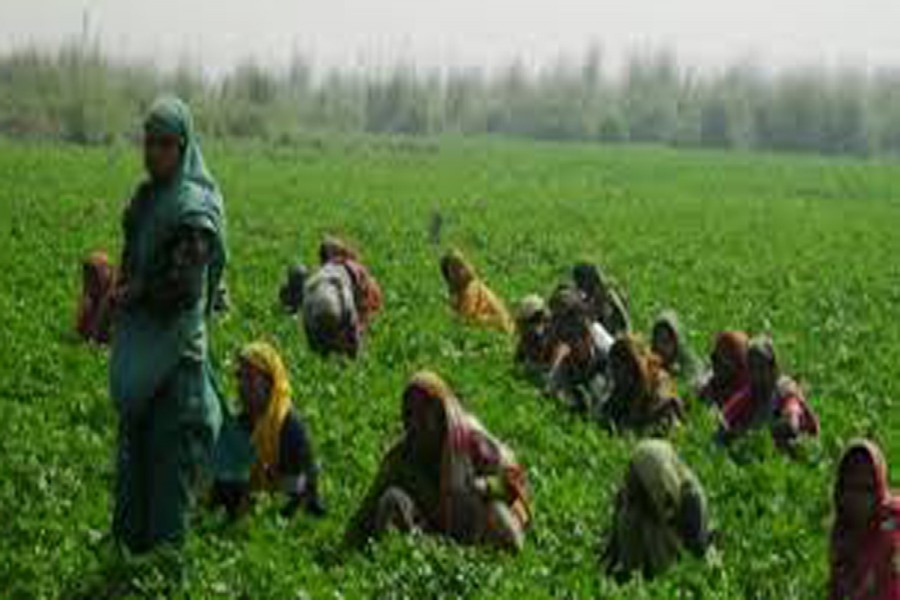 Rural People in Bangladesh