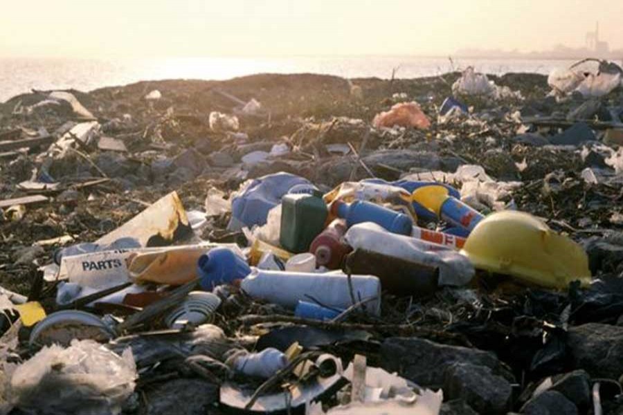 Tampon applicators have been found amongst plastic pollution on the shore of the River Thames.Science Photo Library/Files