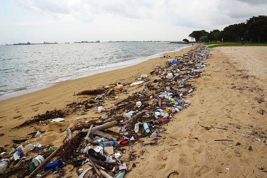 Caring for environment by beating plastic pollution