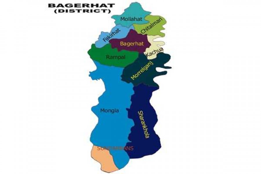 Forest dept, BGB recover 240 kg venison in Bagerhat