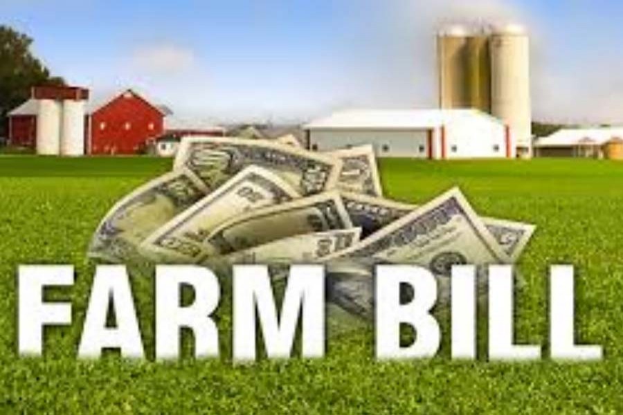 US Senate passes farm bill