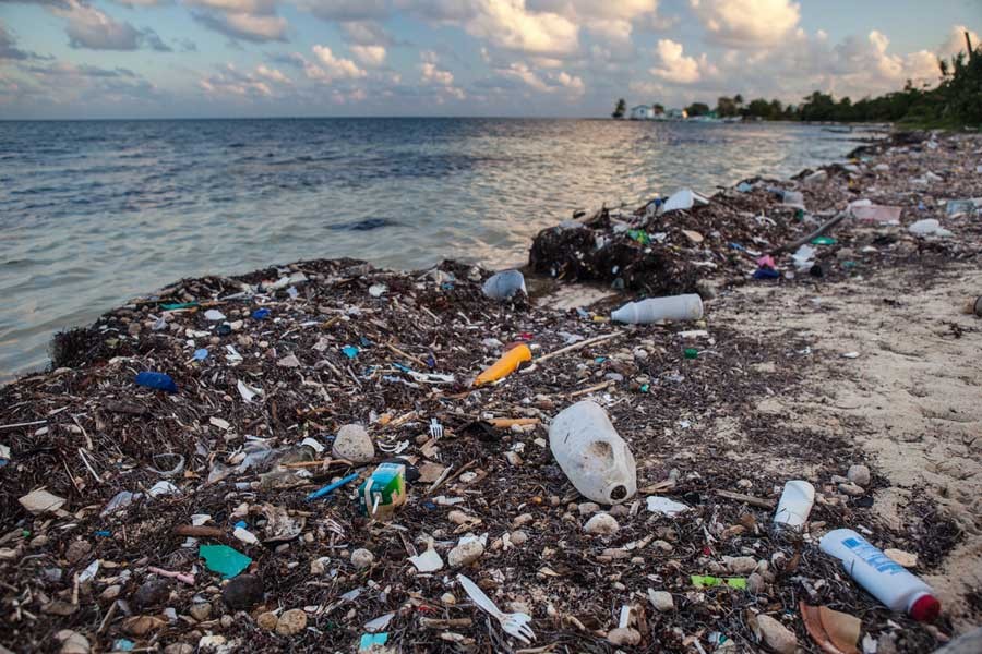 Plastic debris in oceans -- a growing hazard