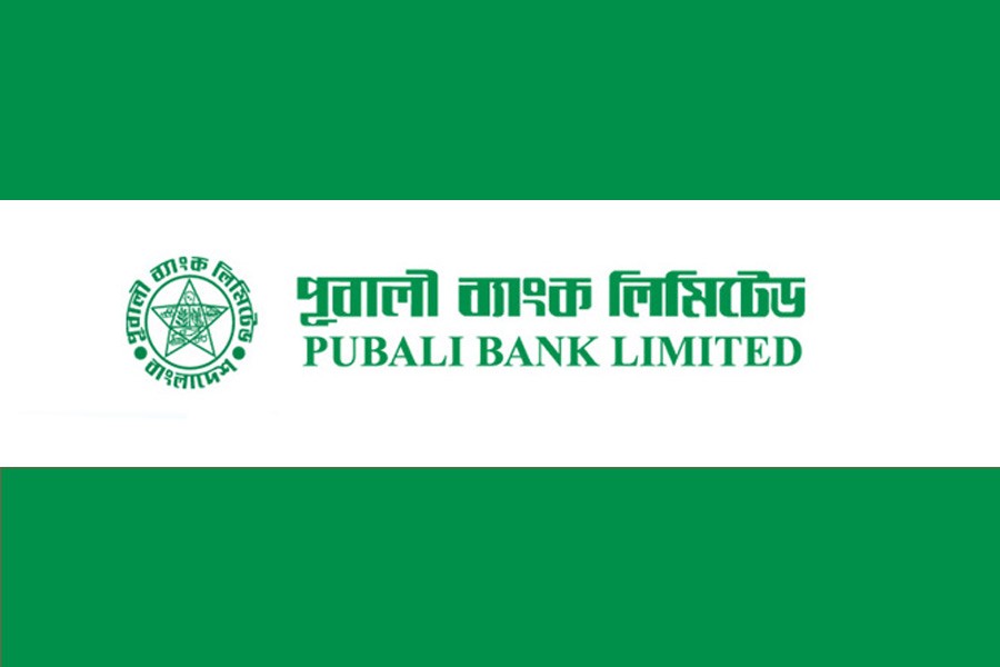 Pubali Bank sees moderate growth