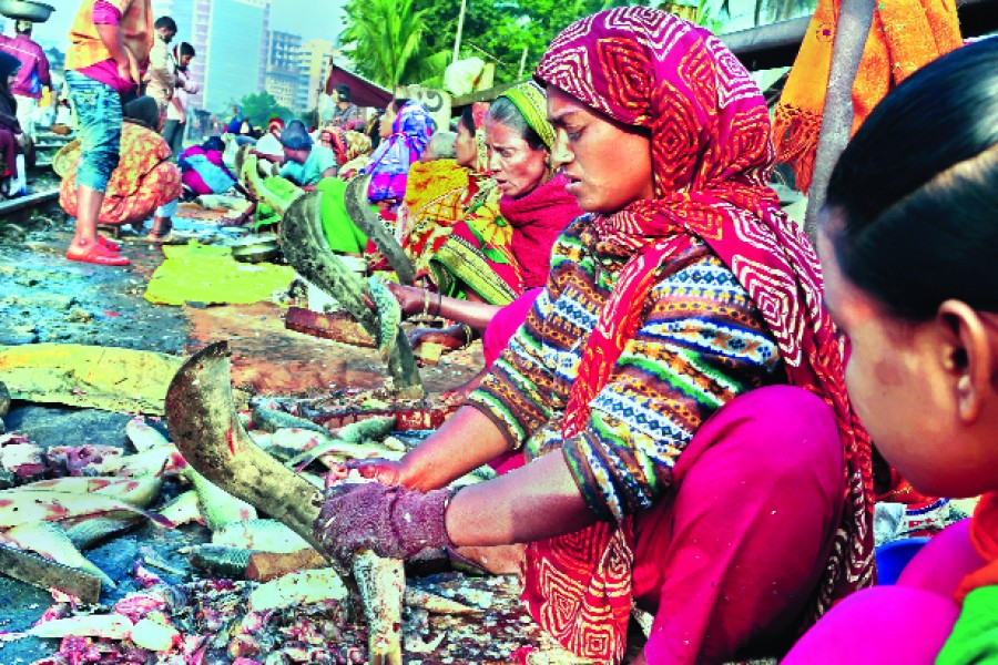 Cutting fishes into pieces at fish markets helps many women earn their living. This photo was taken from Karwanbazar in Dhaka city, February 18, 2018. FE photo/Files