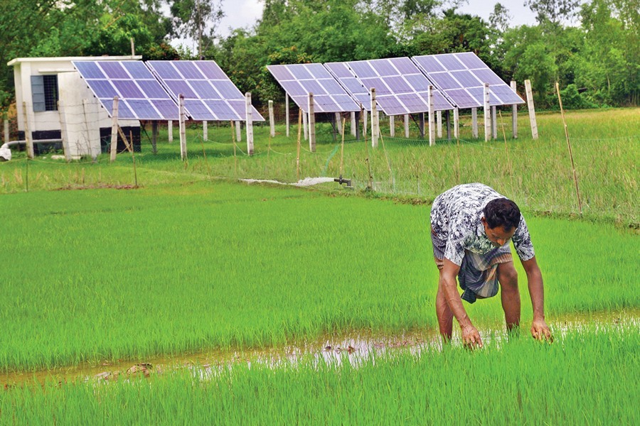 A farmer working in his field as solar panels (in the background) power his irrigation pump at Badarganj upazila in Rangpur — Collected