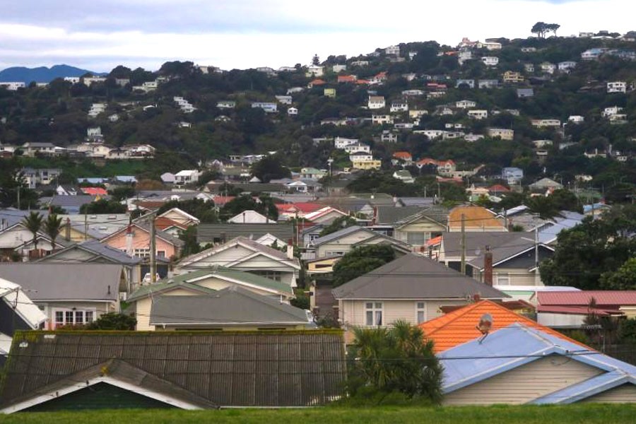 Residential houses are seen in Wellington, New Zealand, July 1, 2017 – Reuters file photo