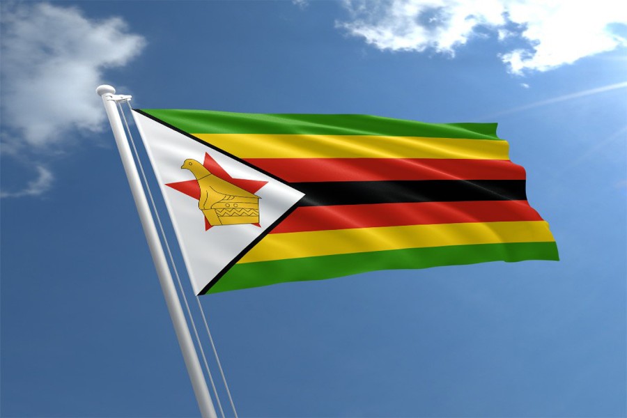 Zimbabwe gripped by court challenge to election result