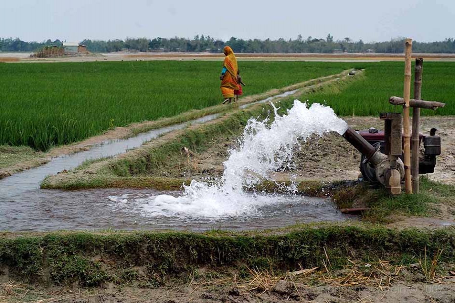 Water for cultivation: Pricing and adoption   