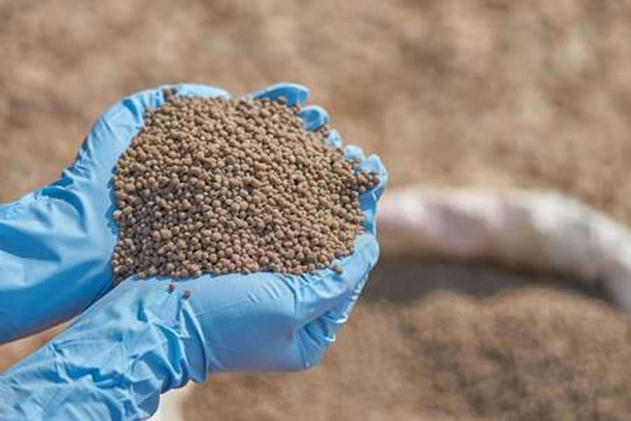 Cabinet body okays 200,000mt fertiliser import