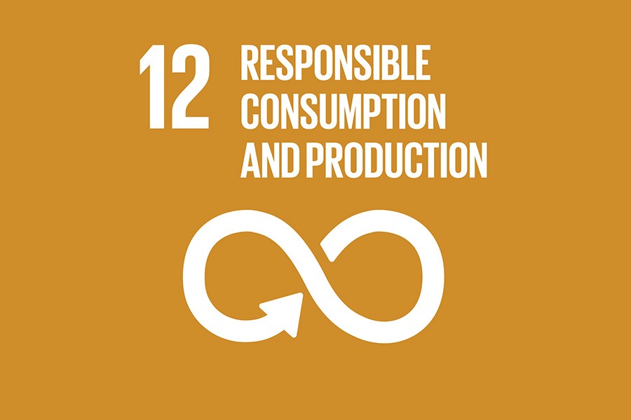 Ensuring sustainable consumption and production patterns