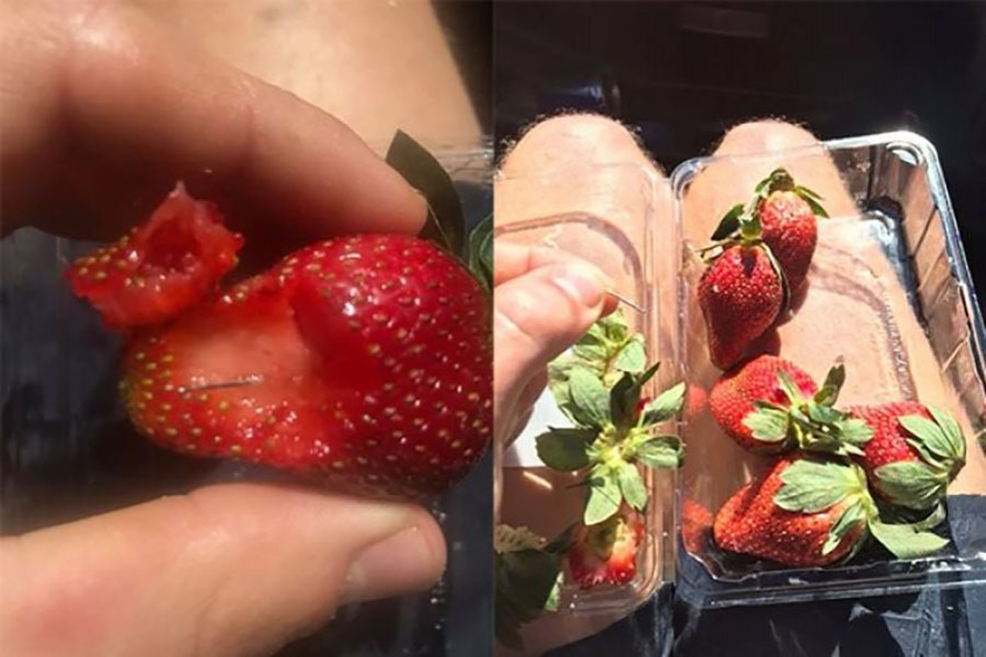 Strawberries and needles   