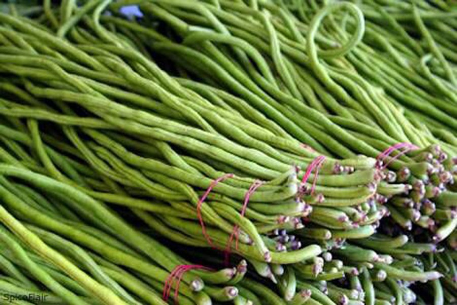 Peasants attain solvency by growing snake beans