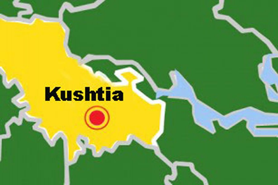 In-laws torture newlywed housewife to death in Kushtia