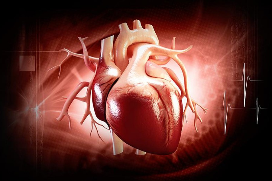 New drug to sustain oxygen-starved hearts