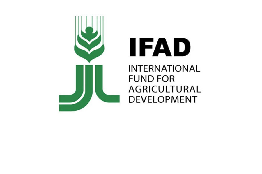 IFAD effort falters on ministry’s silence