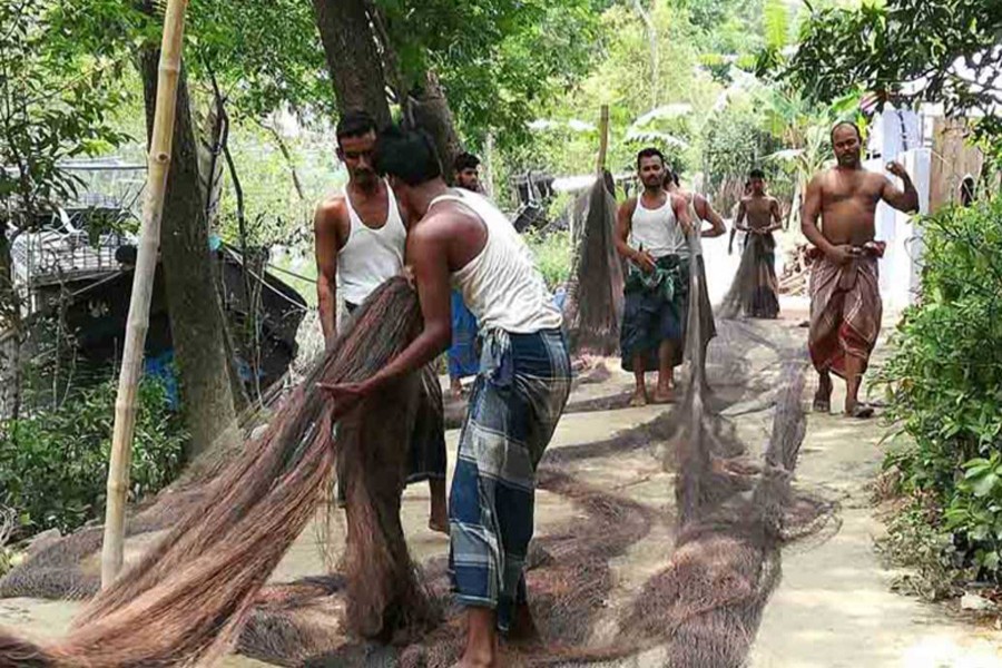 Hilsa fishing ban goes from Monday