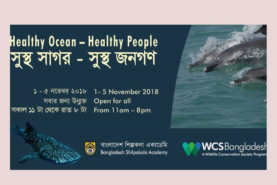 Exhibition on marine wildlife begins at BSA