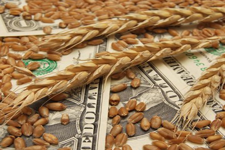 Wheat prices hold above harvest lows