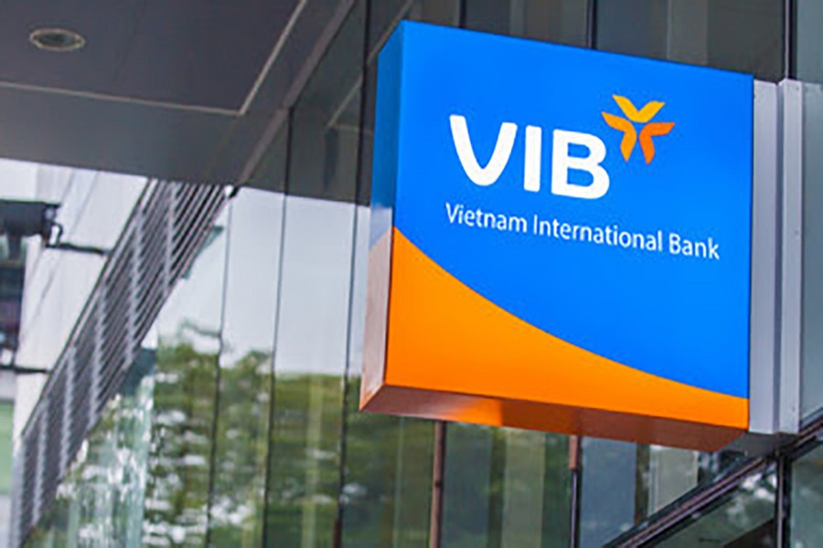 Vietnam International Bank